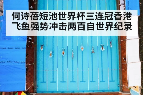 何诗蓓短池世界杯三连冠香港飞鱼强势冲击两百自世界纪录